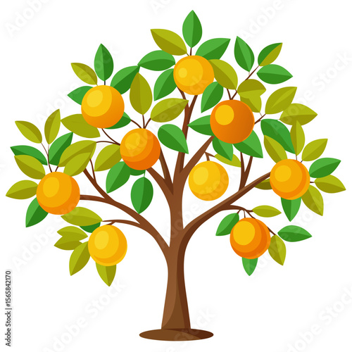 orange tree with fruits