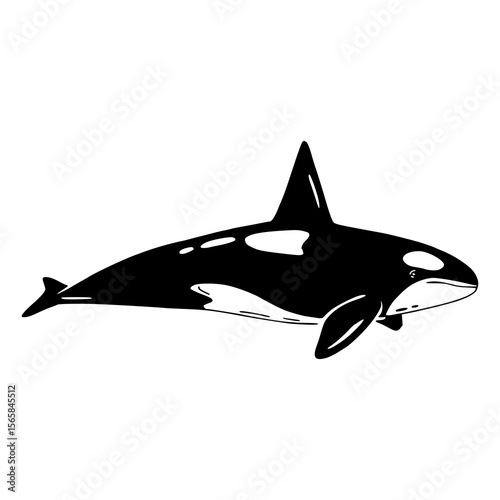 wild killer whale aquatic artwork