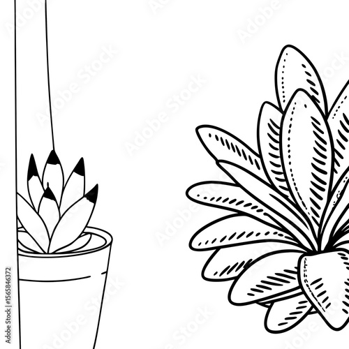 Succulent Plant in Pot Vector Black and White Illustration