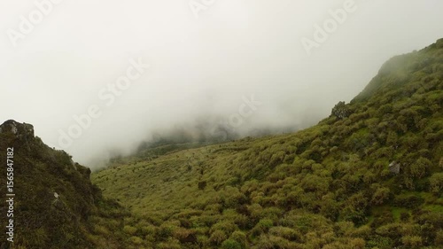Wallpaper Mural Rolling highland meadows on Mount Apo stretch into the mist, as lush textures and distant ridgelines dissolve in the cool, overcast atmosphere. Torontodigital.ca