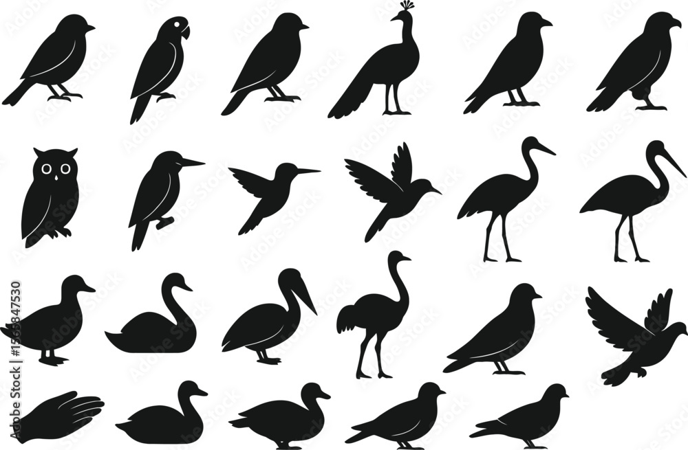 Obraz premium Bird Silhouette Vector Set – Designed for Logos, Prints, and Graphic Use, Including Flying, Standing, and Perched Birds