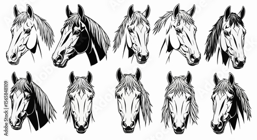 Horses