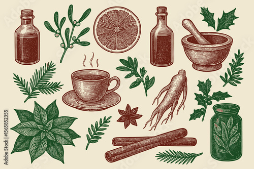 Hand sketched vector illustration featuring an assortment of herbal Christmas remedies elements