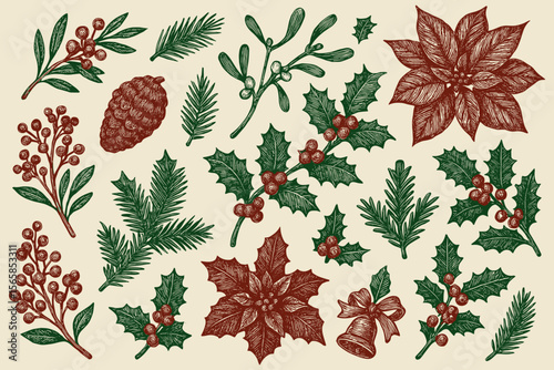 Festive winter botanical elements collection featuring classic holiday plants and decorations