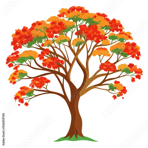 autumn tree vector
