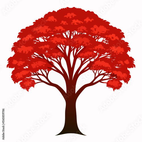Gulmohar tree silhouette vector on white background
