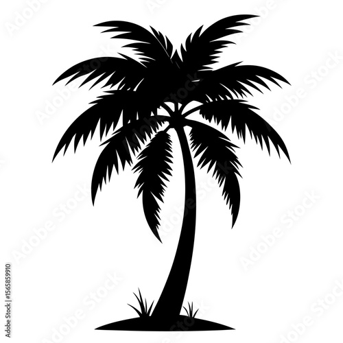 silhouette of palm tree