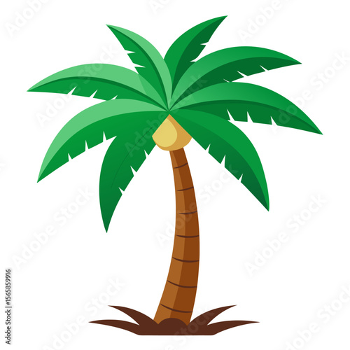 Palm tree vector on white background
