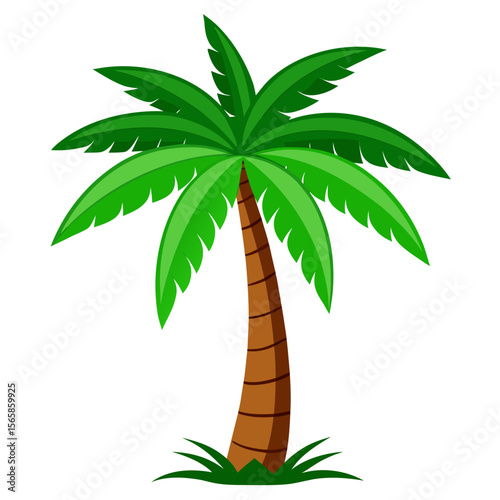 palm tree vector