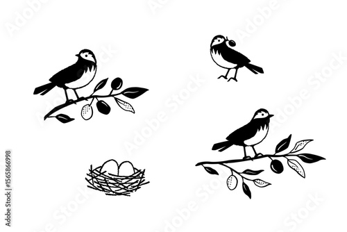 Vector hand drawn illustration set, little bird and olive branch, bird's nest with eggs.