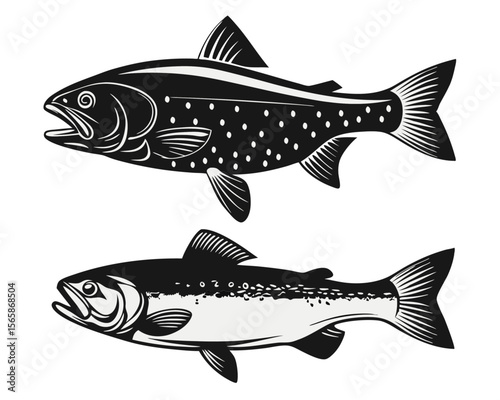 Comprehensive collection of north american freshwater fish species found across the united states presented as a detailed graphic compilation for various design applications