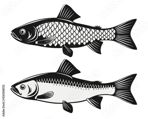 Comprehensive collection showcasing diverse freshwater aquatic life found in north american rivers lakes and streams rendered in striking black and colorful hues