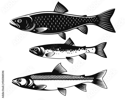 Comprehensive collection of north american freshwater aquatic life showcasing diverse species from the united states in a detailed graphic presentation