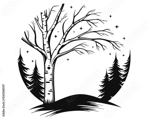 Collection of elegant birch tree outlines showcasing delicate branches and distinctive white bark patterns perfect for naturalistic design elements and woodland themes