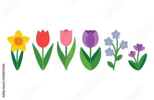 Colorful Cartoon Spring Flowers Daffodil, Tulips, and ForgetMeNots Illustration on White