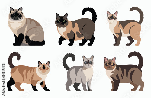 Six Adorable Cartoon Siamese Cats in Various Poses and Colors Isolated on White