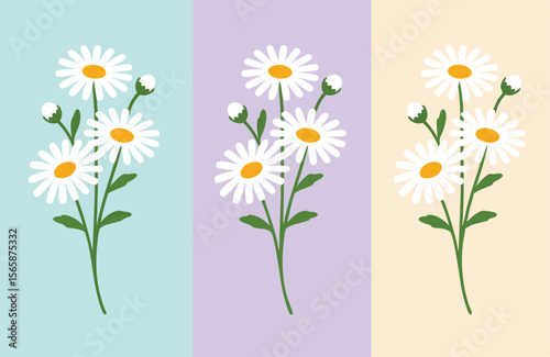 Three Daisy Bouquets on Light Blue, Lavender, and Beige Background, Spring Floral Illustration