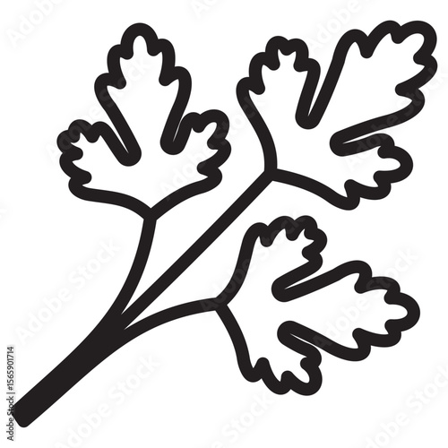 Parsley icon vector illustration isolated sign