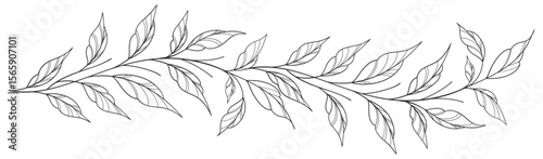 Sketch Floral Botany Collection. flower drawings. Black and white with line art on white backgrounds. Hand Drawn Botanical Illustrations. Vector eps