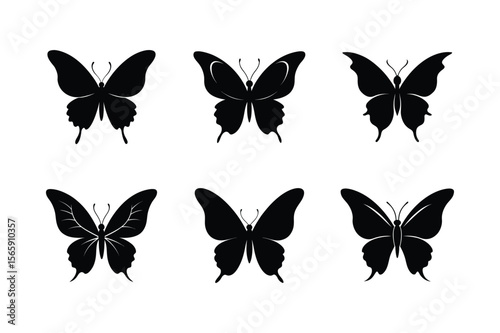 set of vector butterflies