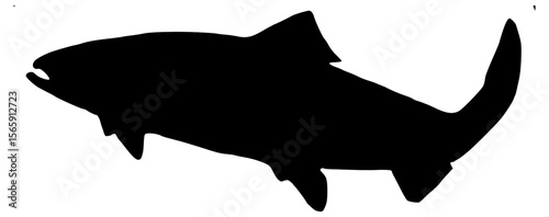 Vector Silhouette Of A Salmon Fish.