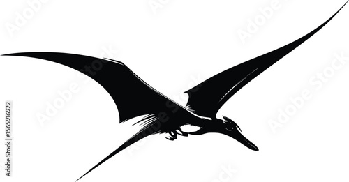 Stylized Vector Pterodactyl Silhouette: Dramatic Flight Illustration