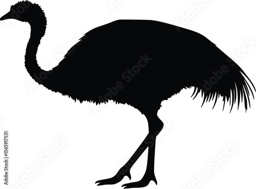 Elegant emu vector silhouette: dark, detailed, avian profile