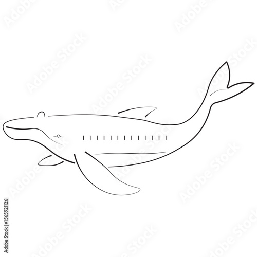 Minimalist line art of a whale, perfect for ocean conservation designs, marine biology visuals, animal education projects, and aquatic wildlife-themed graphics.