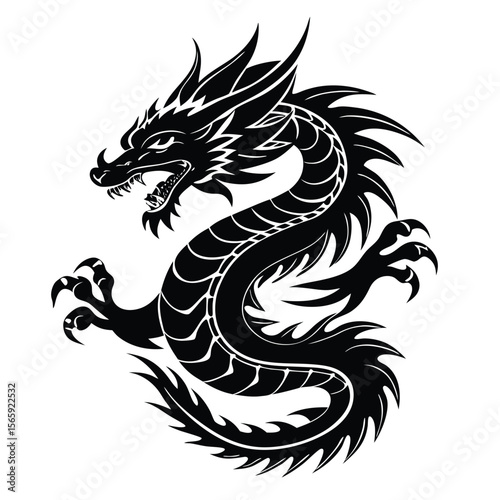 black and white dragon