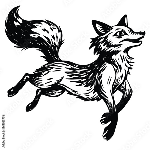 black and white fox