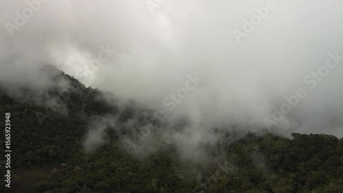 Wallpaper Mural Low clouds sweep across Mount Apo’s lush foothill rainforest, alternately revealing and veiling emerald ridges as the camera descends through swirling mist. Torontodigital.ca