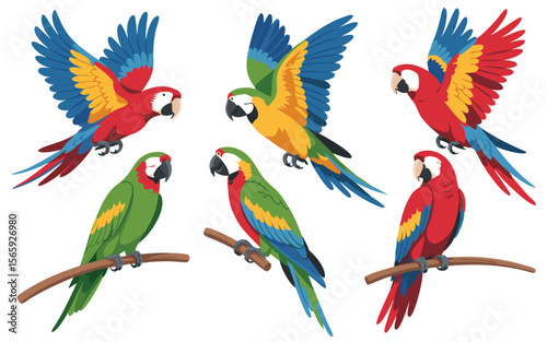 Colorful Cartoon Macaws Flying and Perched on Branches, Tropical Bird Illustration Art