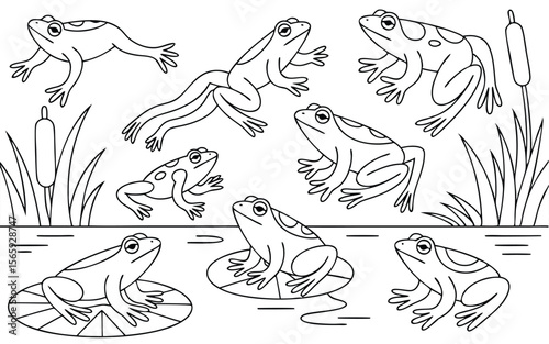 Line Art Illustration of Frogs, Cattails, and Lily Pads in a Wetland Habitat