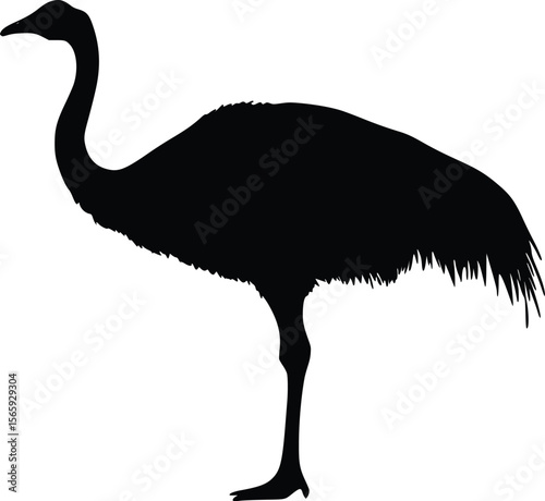 Elegant Rhea Silhouette: Vector Illustration, Dark Profile