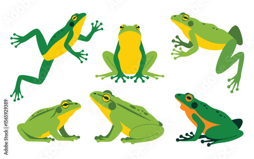 Six Flat Illustrations of Different Green and Yellow Frog Species on White