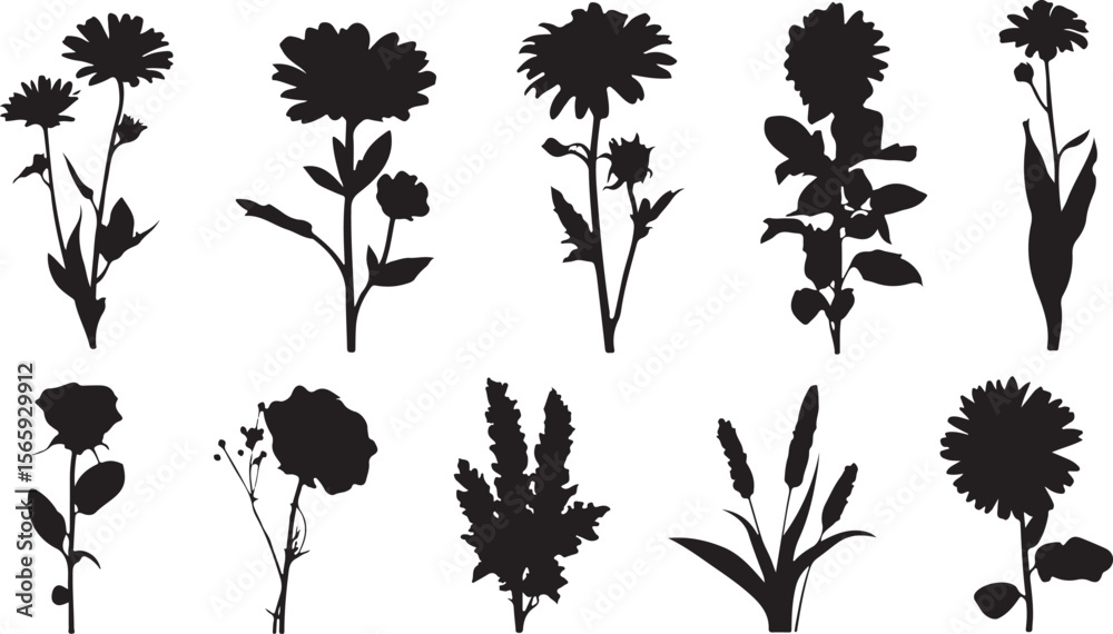 Fototapeta premium Set of ten black and white flower silhouettes including daisies and lilies, featuring various arrangements of blooms and leaves for a varied and minimalist floral collection.