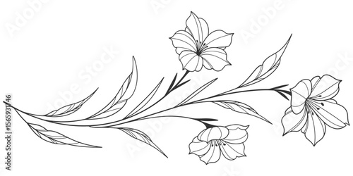 Sketch Floral Botany Collection. flower drawings. Black and white with line art on white backgrounds. Hand Drawn Botanical Illustrations. Vector eps