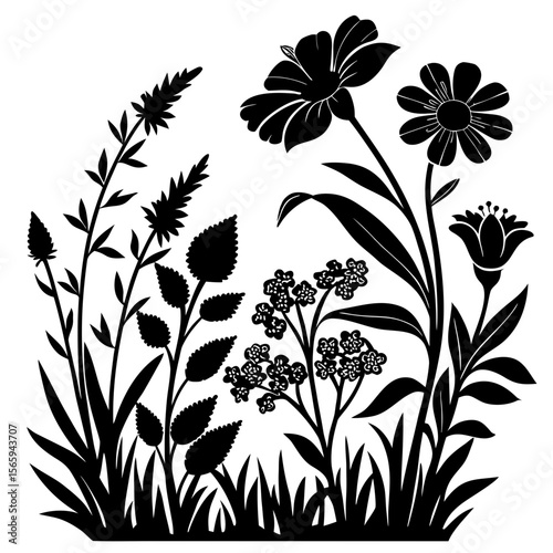 Black Silhouette Wildflowers Meadow Botanical Garden Floral Design