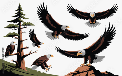 Cartoon Bald Eagles Soaring, Landing on Rocks and Tree, Composition