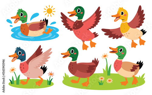 Cartoon Ducks Set Swimming, Walking, and Flying Duck Illustrations Against White Background