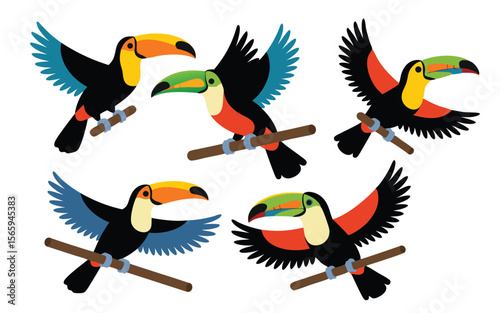 Colorful Toucans Perched on Branches, Graphics of Exotic Birds with Vivid Beaks