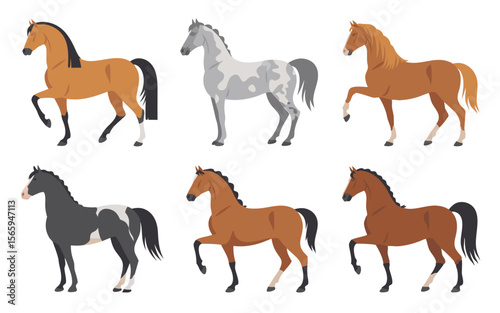Six Differently Colored Horses Standing Isolated on White Background Bay, Gray, Black and Brown