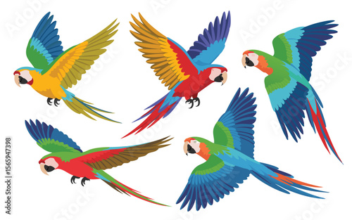 Vivid Illustration of Colorful Macaws in Flight Against a White Background, Tropical Birds