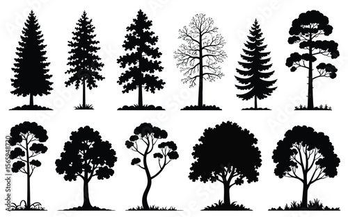 Diverse tree silhouettes black and white forest collection trees