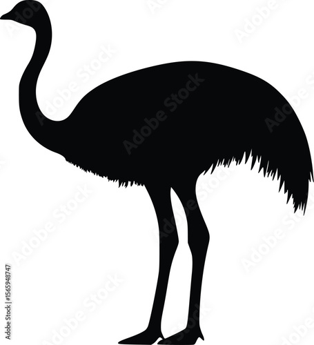 Elegant Rhea Silhouette: Vector Illustration, Dark Profile
