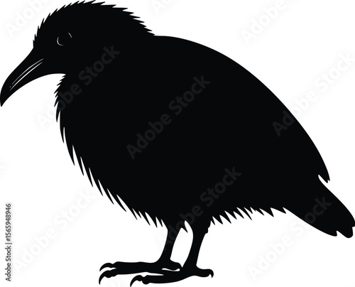 Vector illustration: Majestic crow silhouette, dark, moody style