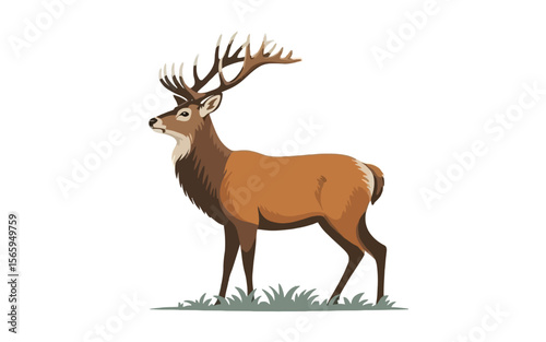Majestic stag with large antlers standing in grass deer animal