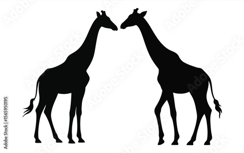 Two giraffes facing each other black silhouette animal animals