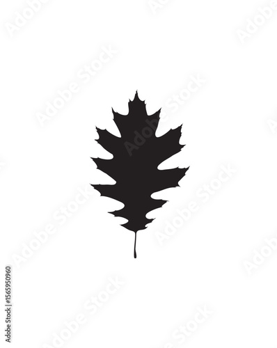Silhouette of an oak leaf, featuring its distinctive lobed shape, centered on a white background.