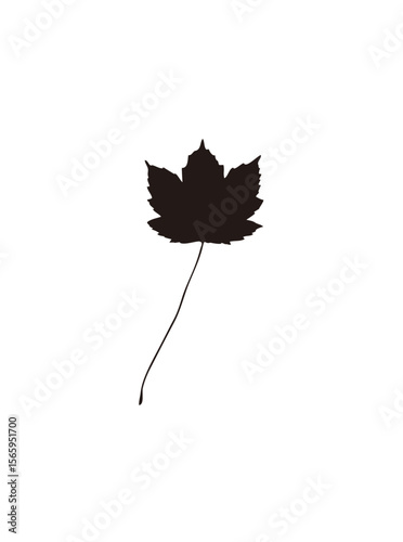 Silhouette of a maple leaf, showcasing its intricate shape and stem.
